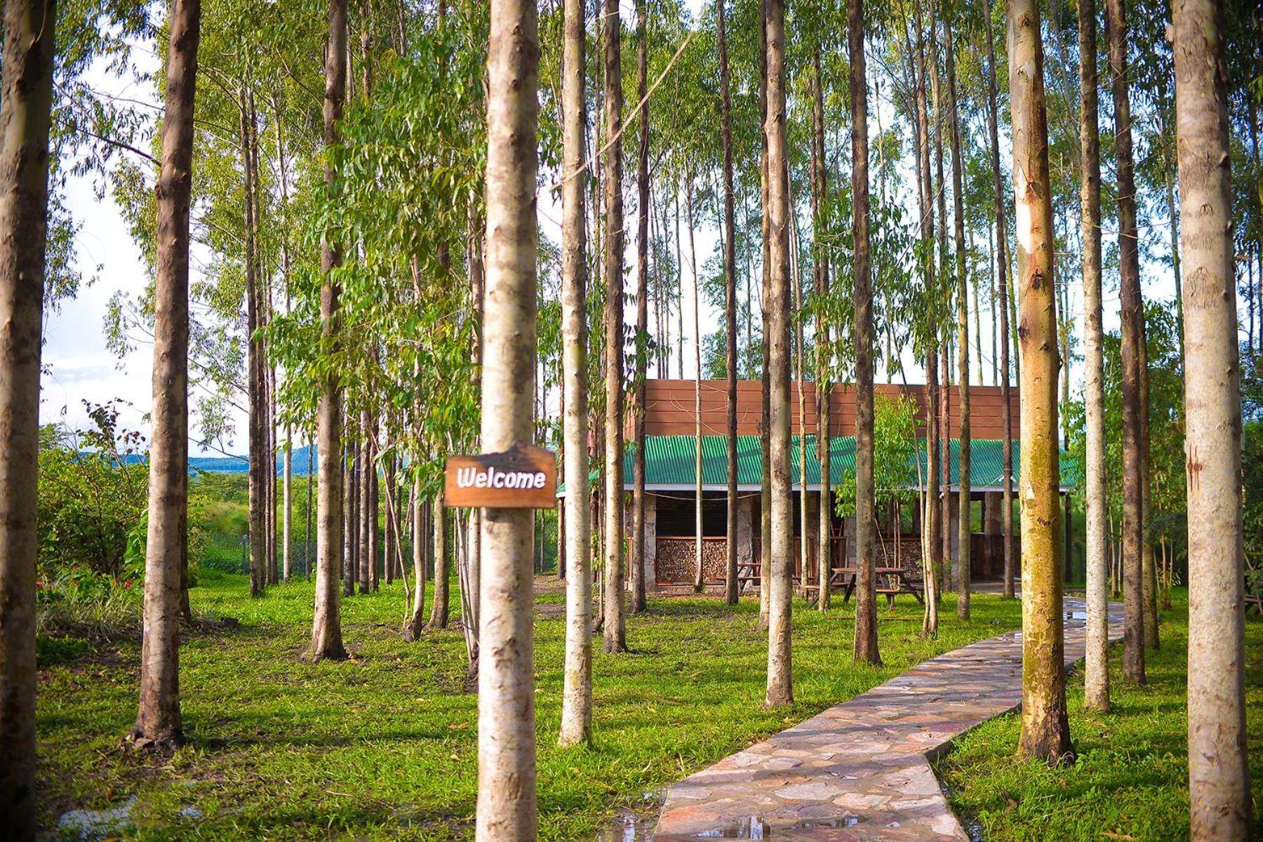 Kabalega Resort - Masindi Bagian luar foto
